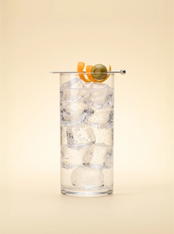 FORA Terroir — Ginebra premium estilo London Dry — ambiente