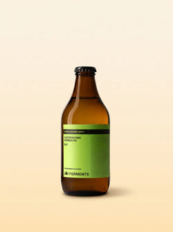LŌV Kombucha Nº1 — Moringa, Jengibre y Menta · Sin alcohol