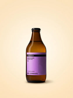 LŌV Kombucha Nº2 — Arándanos y Lavanda · Sin alcohol