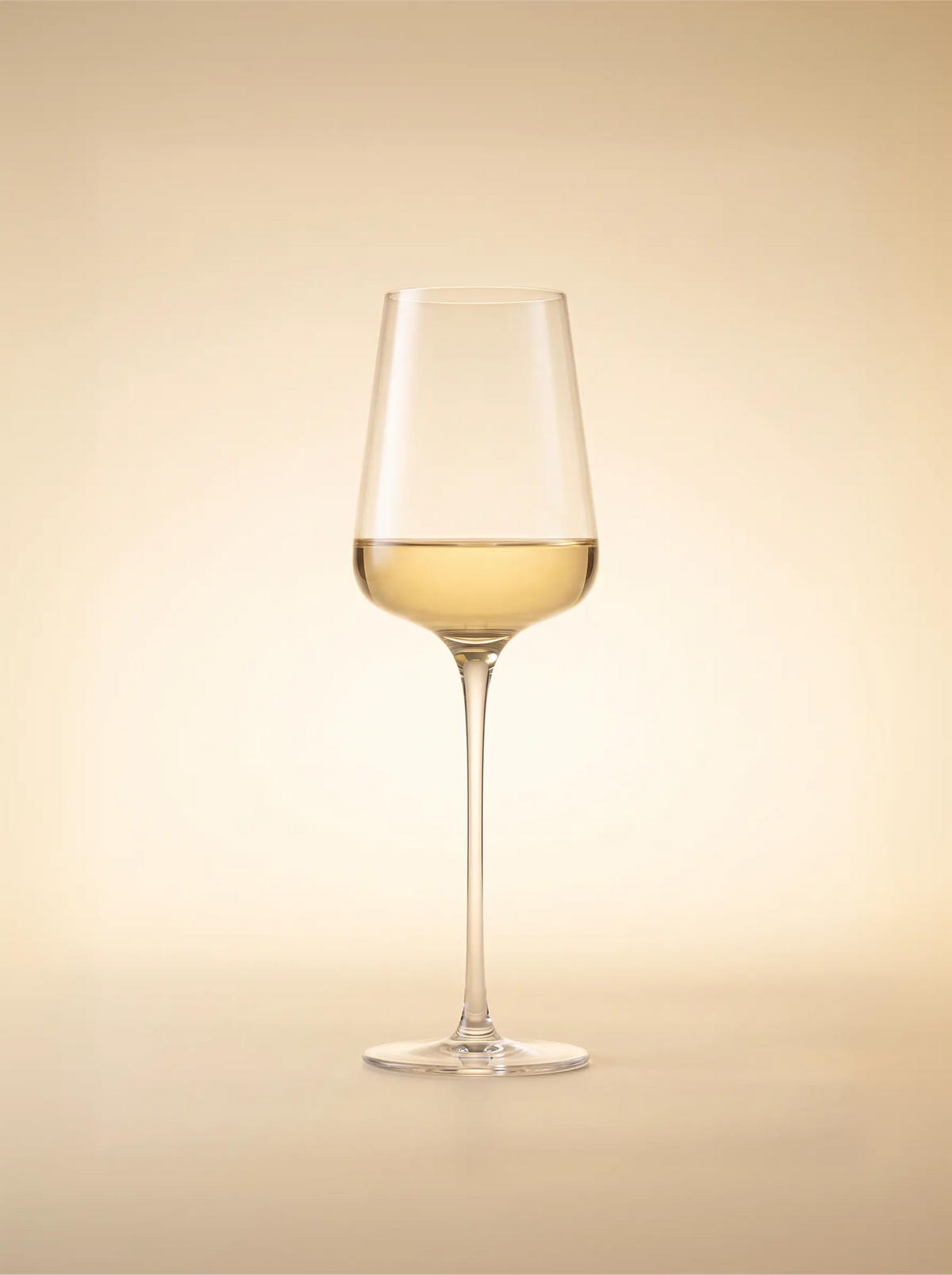 Moncalvillo N1 — dry lowland mead — lifestyle