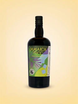 SBS Origin Jamaica TECC